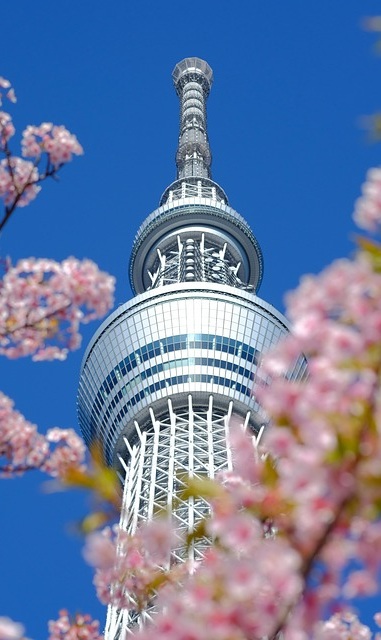 日本
